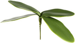 4-Home Mű orchidea levél, magassága 20 cm