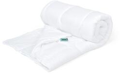 Wendre Antibacterial paplan, 140 x 200 cm