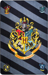 Jerry Fabrics Harry Potter takaró, 100 x 150 cm