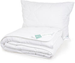 4home Aloe Premium paplan és párnák szett, 140 x 200 cm, 70 x 90 cm