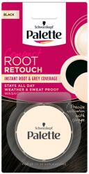 Schwarzkopf Palette Compact lenövést elfedő hajszínező, fekete - 1 db