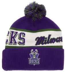 Mitchell & Ness NBA Block Sweep Pom Knit HWC Milwaukee Bucks purple