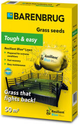 Barenbrug Fű Barenbrug Tough & Easy - Resilient Blue Lawn Ellenálló 1 kg