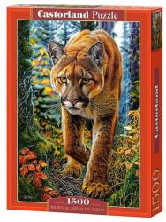 Castorland 1500 db-os puzzle - Puma az erdőben (C-152261) (C-152261)