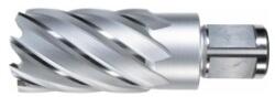 ALFRA Carota HSS ALFRA, prindere Weldon 3/4" (19mm), 42x50mm (1907042050) - constructii-mag
