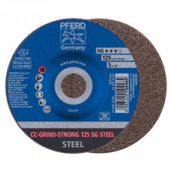 Pferd Disc polizare otel Pferd SG STEEL STRONG, 125x22.23mm (64181125)