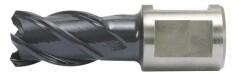 ALFRA Carota HSS-CO ALFRA, RQX, prindere Weldon 3/4" (19mm), 29x30mm (1902029025) - constructii-mag