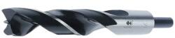 Fisch Burghiu pentru lemn Fisch, cilindrica, 20x140/205mm (1202000) Burghiu