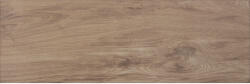 Zalakerámia Zbd62005 Amazonas Csempe 20x60 Cm (zbd62005)