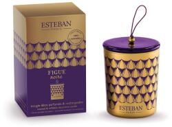 Esteban lumanare aromata Figue noire 180 g 99KK-ZAU0ID_MLC (FIG.012)