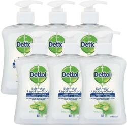 Dettol aloe verás folyékony Szappan 6x250ml