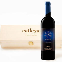 Domeniul Catleya Catleya - Steaua Fara Nume - Feteasca Neagra DOC 2019 cutie lemn - 1.5L, Alc: 14%
