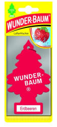 Wunder-Baum Erdbeeren (eper)