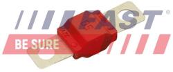 FAST siguranta fuzibila FAST FT83402 (FT83402) - automobilus
