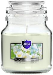 BISPOL Ароматна свещ Bispol Aura - Blooming Jasmine, 120 g (snd71-169)