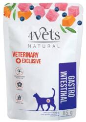 4Vets NATURAL 4Vets Cat Natural Veterinary Exclusive GASTRO INTESTINAL 12 x 85 g