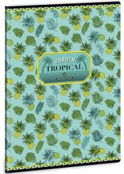 Ars Una Yellow Pineapple sima füzet 40 lapos A/4 (93808699) - innotechshop