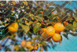 Nature Madárháló 8x8m