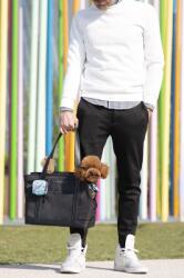 United Pets Транспортна чанта за домашен любимец United Pets Up Bag (GP1301NF)
