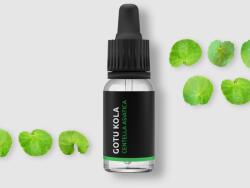 Pěstík Gotu Kola - Ulei esențial 100% natural 10 ml