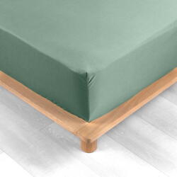 douceur d'intérieur Cearceaf verde din bumbac percal cu elastic 180x200 cm Percaline - douceur d'intérieur