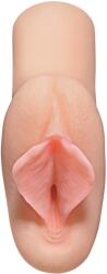 Pipedream - PDX Plus Masturbator Vagin Perfect Pussy XTC Stroker Roz
