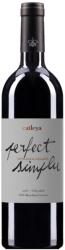 Domeniul Catleya Catleya - Perfect Simplu Feteasca Neagra DOC 2020 - 0.75L, Alc: 14%