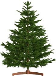 CASARIA Brad de Crăciun artificial FROST, 150 cm, verde