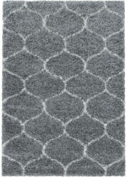 Ayyildiz Carpets Covor gri 200x290 cm Salsa - Ayyildiz Carpets Covor