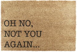 Artsy Mats Covoraș de intrare din fibre de nucă de cocos 40x60 cm Oh No Not You Again - Artsy Doormats Pres