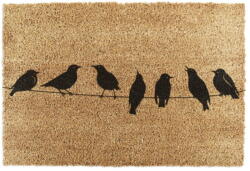 Artsy Mats Covoraș de intrare din fibre de nucă de cocos 40x60 cm Birds On a Wire - Artsy Doormats Pres
