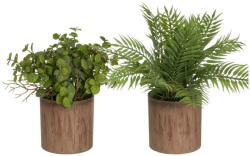 Casa Selección Plante artificiale 2 buc. (înălțime 22 cm) - Casa Selección