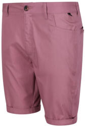 Regatta Cobain Short férfi short rózsaszín/korall/pink (RMJ252-25B-52)