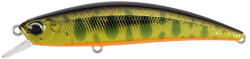 DUO SPEARHEAD RYUKI 70F 7cm 5.3gr MCC4084 Gold Yamame