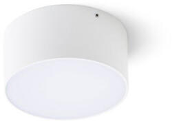 Rendl light studio R14123 LARISA LED kültéri lámpa, mennyezeti IP65 fehér (R14123)