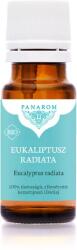 Panarom Eukaliptusz radiata illóolaj (10 ml)
