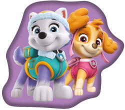 Jerry Fabrics Pernă pentru copii din polar/fleece Paw Patrol - Jerry Fabrics