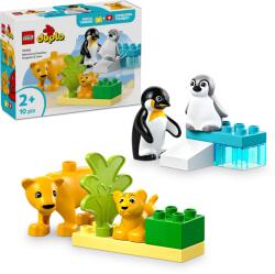 LEGO® DUPLO® - Állatcsaládok a vadvilágban: Pingvinek és oroszlánok (10442)