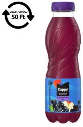 Cappy Üdítőital szénsavmentes CAPPY Ice Fruit Erdei gyümölcs 12% 0, 5L DRS (557804) - nyomtassingyen