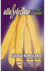 Alta Selezione Cutie seminte ALTA SELEZIONE Fasole urcatoare Meraviglia di Venezia (ASR58-5)