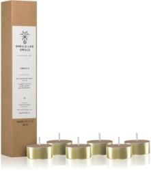 Smells Like Spells Norse Magic Frigga teamécses (home/partnership) 6 db