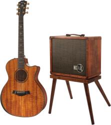 Taylor 924ce-K 50th Anniversary + Circa 74 amp Limited Edition