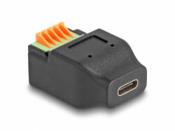 Delock USB Type-C 2.0 anya - Terminal block adapter nyomógombbal (66457) (66457) - aqua