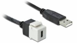 Delock Keystone modul, USB 2.0 C-csatlakozóhüvely > USB 2.0 A-csatlakozódugó, kábellel (86382) - aqua