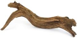 Mangrove mocsári gyökér akváriumba (40-60 cm)