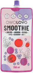 OWOLOVO smoothie alma-kékáfonya-cékla 250 ml