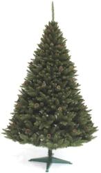 KORLEAND HEGYI FENYŐ TOBOZZAL - 220 cm