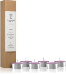 Smells Like Spells Norse Magic Mimir teamécses (relaxation/meditation) 6 db
