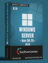 Microsoft Windows Server 2019 User CAL [RDS] [25] (6VC-03748) (3994)