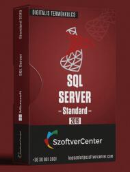 Microsoft SQL Server 2019 Standard (228-11487) (453)
